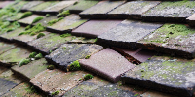 Monkston roof repair costs
